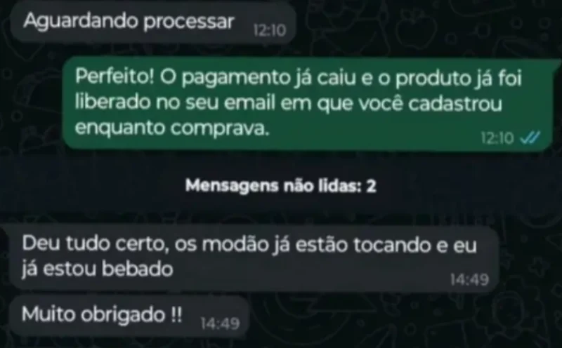 Mensagens de um cliente: o pagamento foi confirmado, o produto foi liberado no e-mail e ele escreve: deu tudo certo, os modões já estão tocando. Muito obrigado.